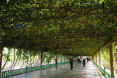 《暗黑4》Steam评价升至“多半好评” 4天新增千条好评